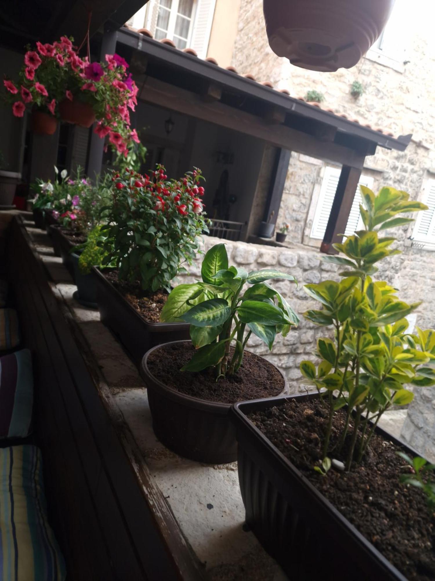 Rooms Dana Old Town Будва Экстерьер фото