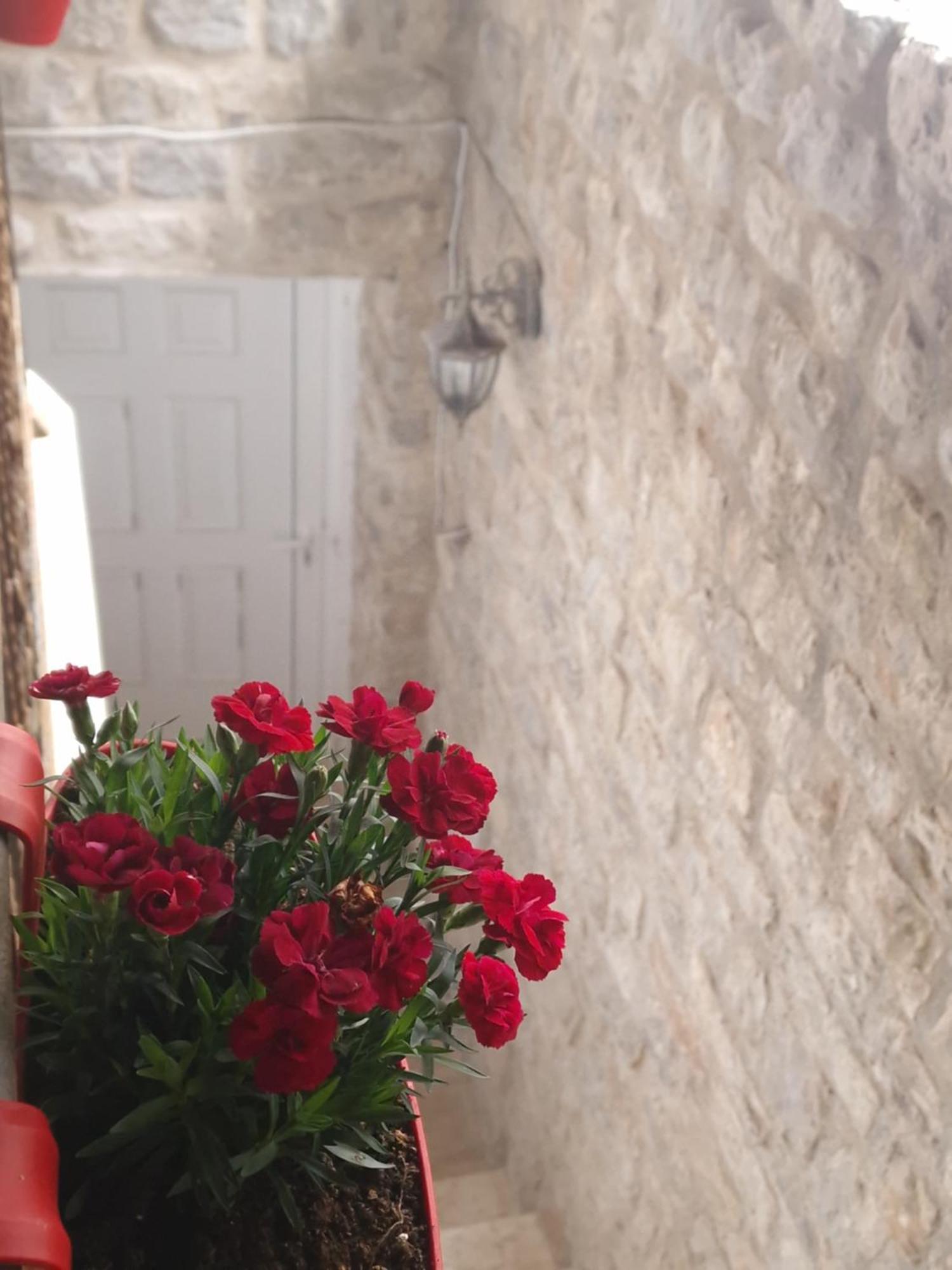 Rooms Dana Old Town Будва Экстерьер фото